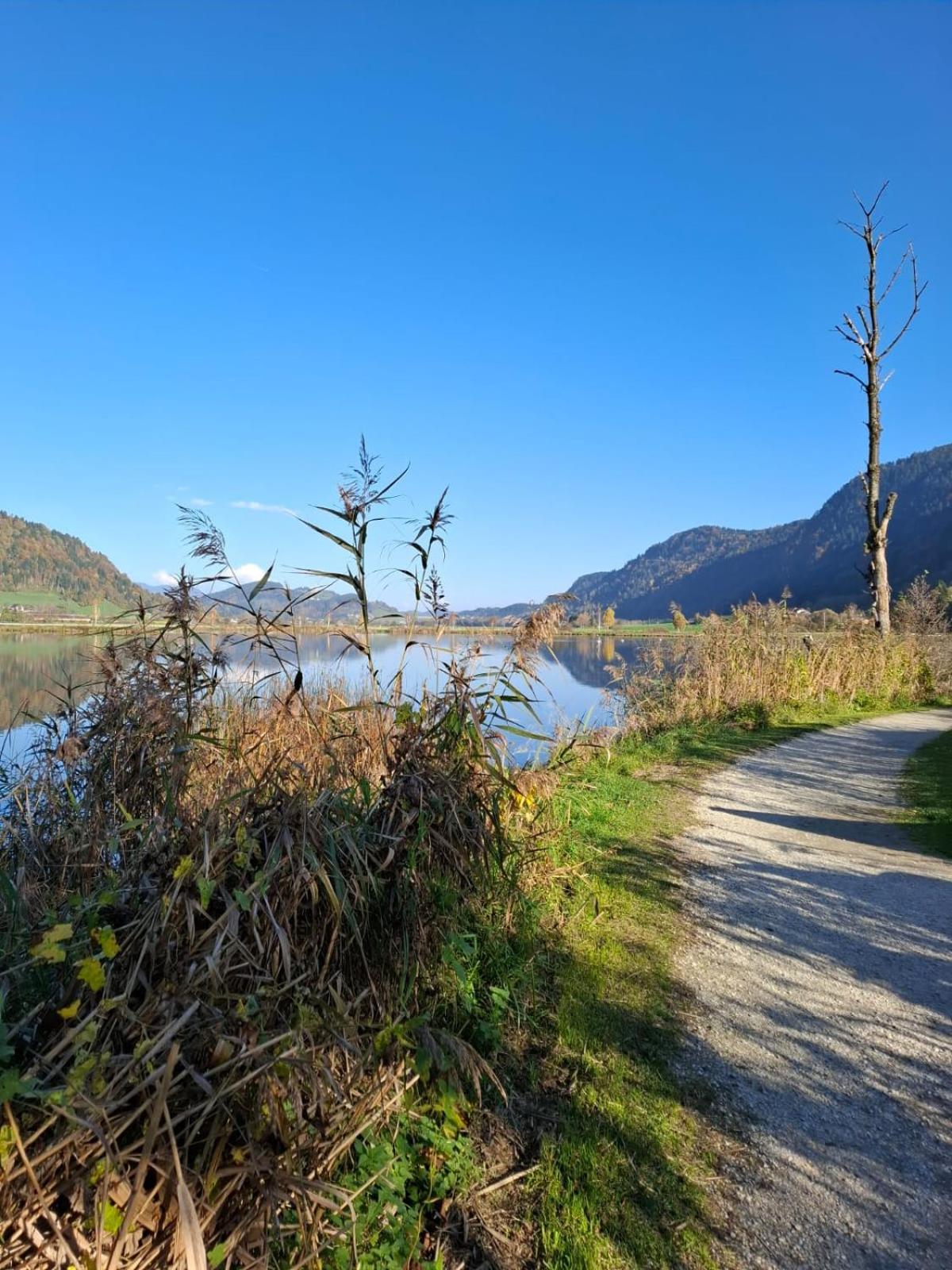 Ferienwohnung Resi Mit Traumhaftem Seepanorama Steindorf am Ossiacher See Εξωτερικό φωτογραφία