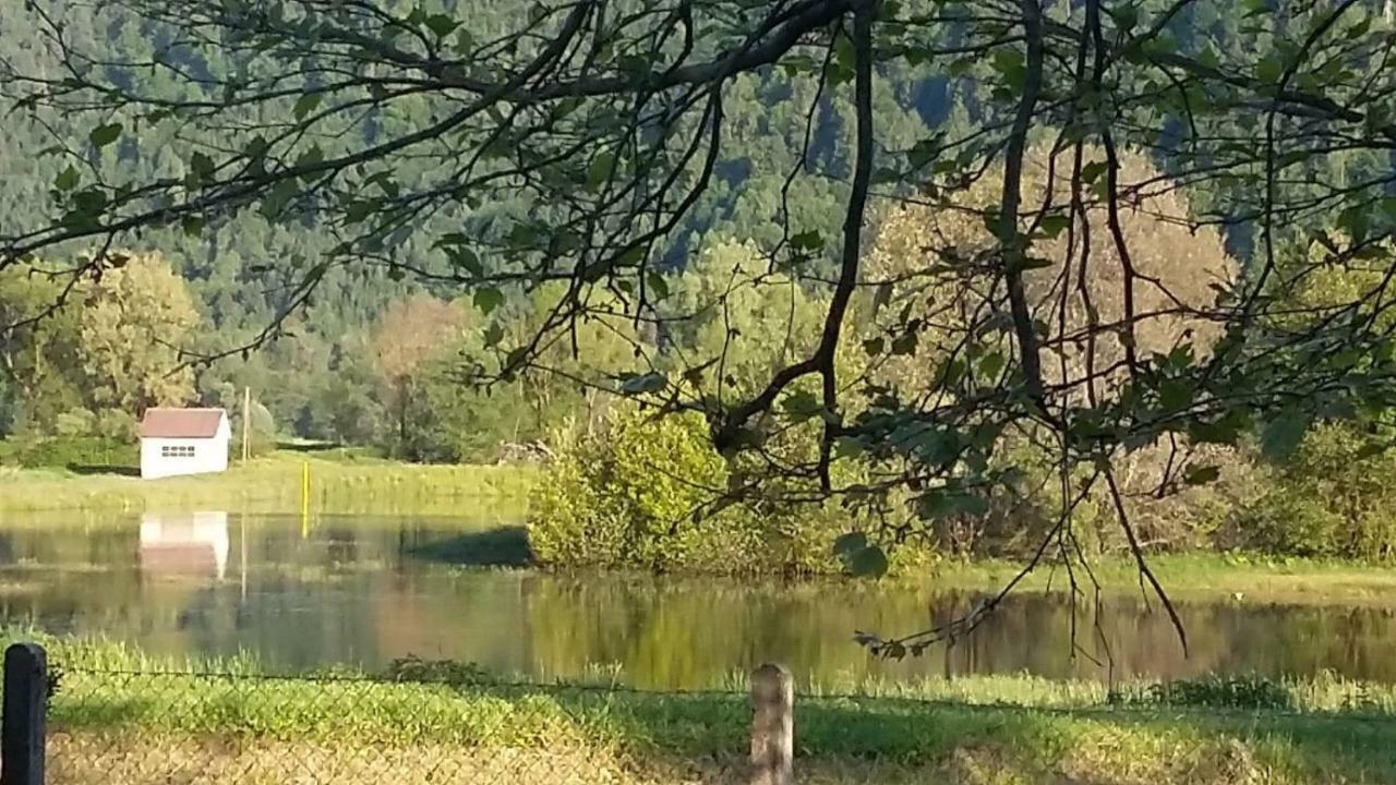Ferienwohnung Resi Mit Traumhaftem Seepanorama Steindorf am Ossiacher See Εξωτερικό φωτογραφία