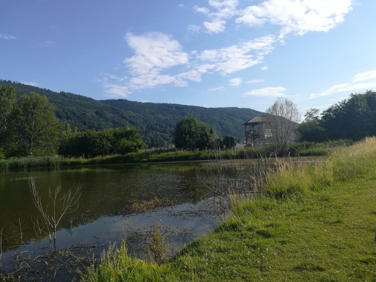 Ferienwohnung Resi Mit Traumhaftem Seepanorama Steindorf am Ossiacher See Εξωτερικό φωτογραφία
