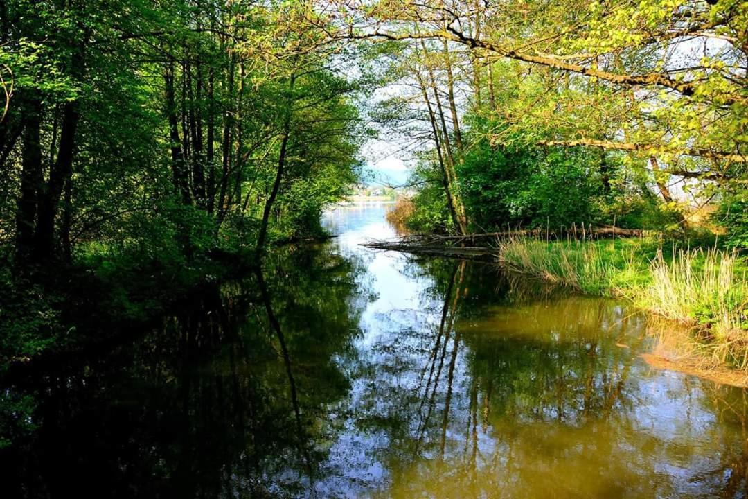 Ferienwohnung Resi Mit Traumhaftem Seepanorama Steindorf am Ossiacher See Εξωτερικό φωτογραφία